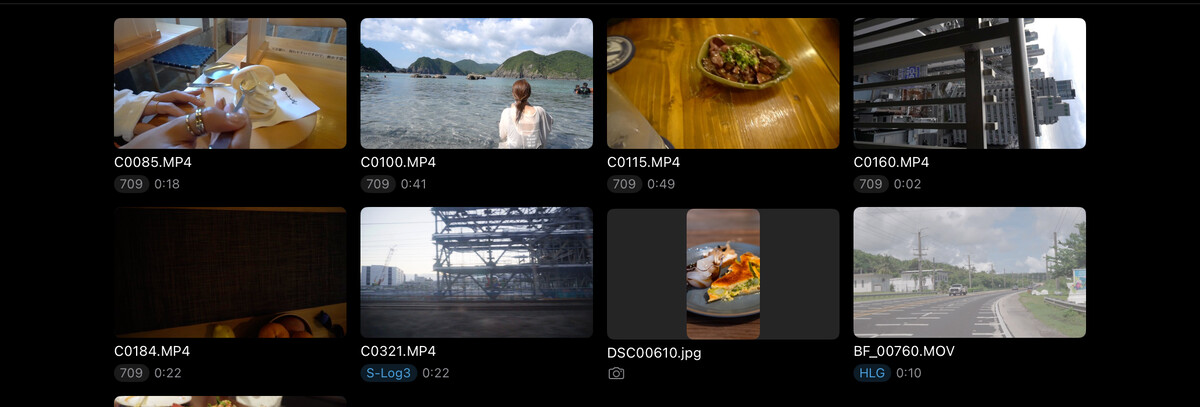 The same clips in Divecut: thumbnails in correct color, each labelled with its format badge.