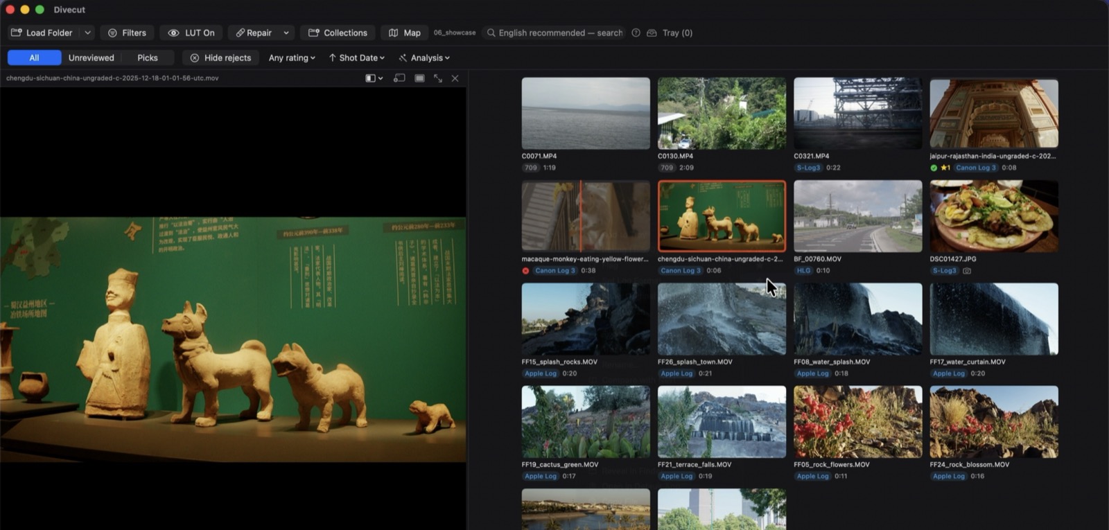 The Divecut grid with a clip open in the player, rated and flagged.