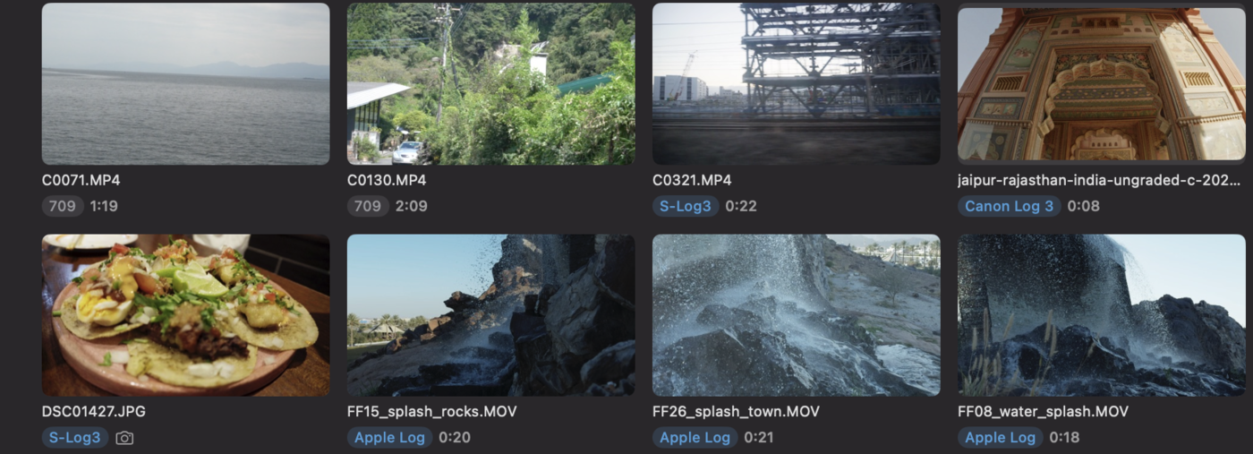 Divecut 里的一个片段文件夹。每个片段名字下方都带着一个标签，写着它录制时的格式：有几个是 709，还有 S-Log3、Canon Log 3 和 Apple Log。